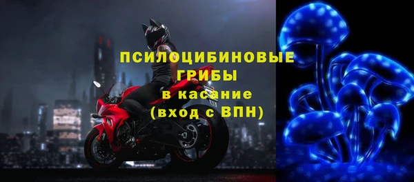 тгк Абаза