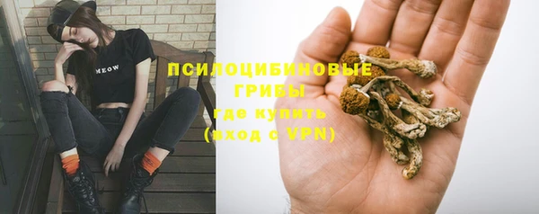круглые Алексеевка