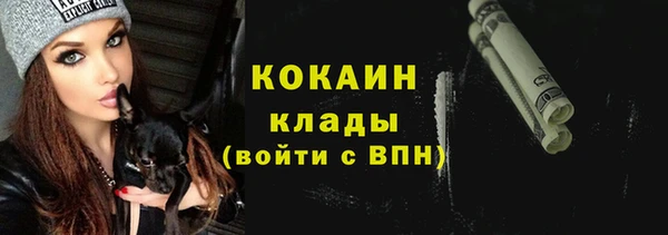 тгк Абаза